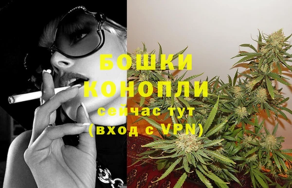 ешки Аркадак