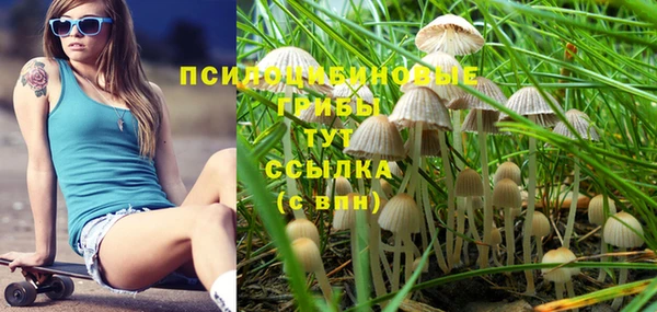 MESCALINE Армянск