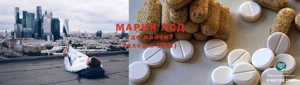 ешки Аркадак