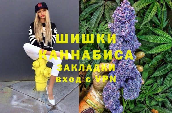 ешки Аркадак