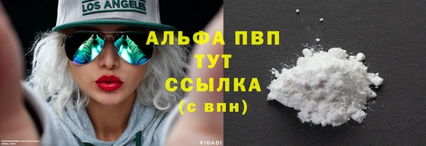 ешки Аркадак