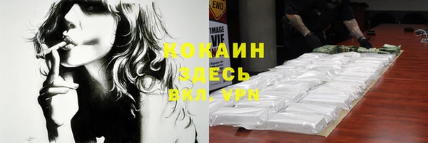 ешки Аркадак