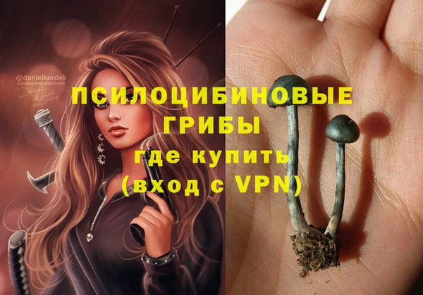 ешки Аркадак