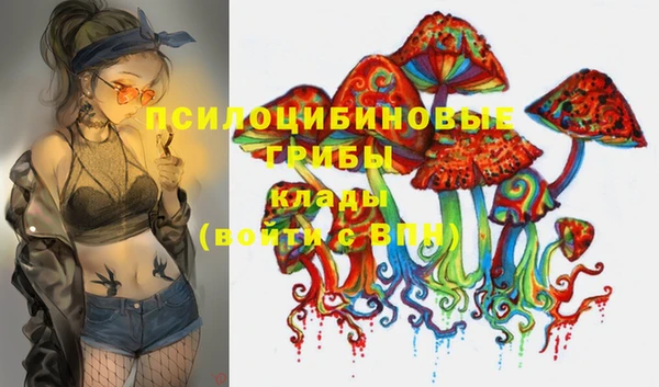 ешки Аркадак