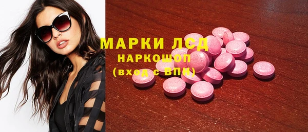 ешки Аркадак